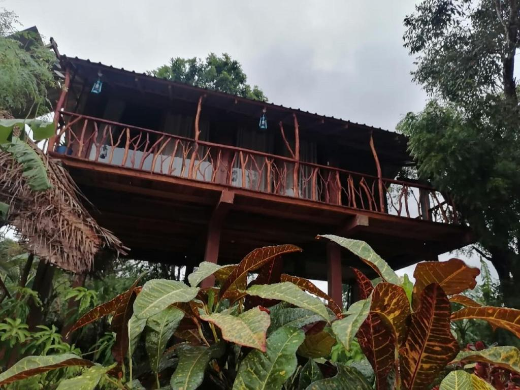 Wild Cafe Sigiriya